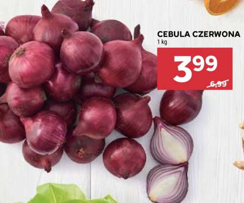 Cebula czerwona