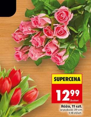 Róża 11 szt