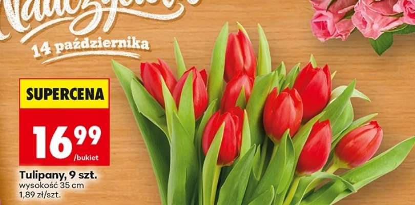 Tulipany, 9 szt.