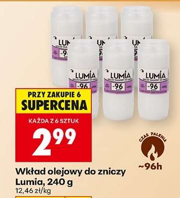 Wkład olejowy do zniczy Lumia 240 g