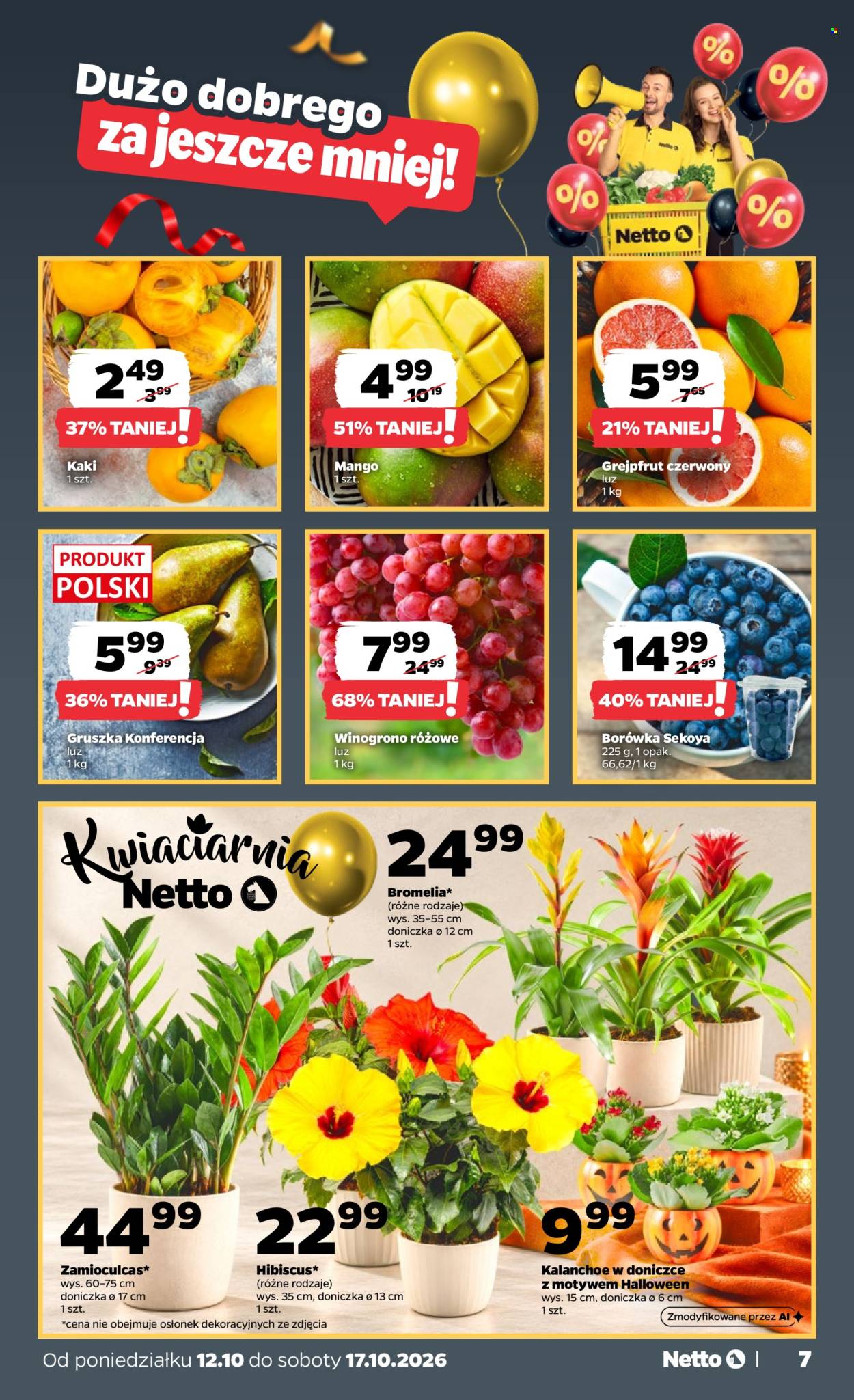 Gazetka Netto - 12.10.2026 - 17.10.2026. Strona 7
