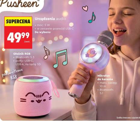 Urządzenia audio
