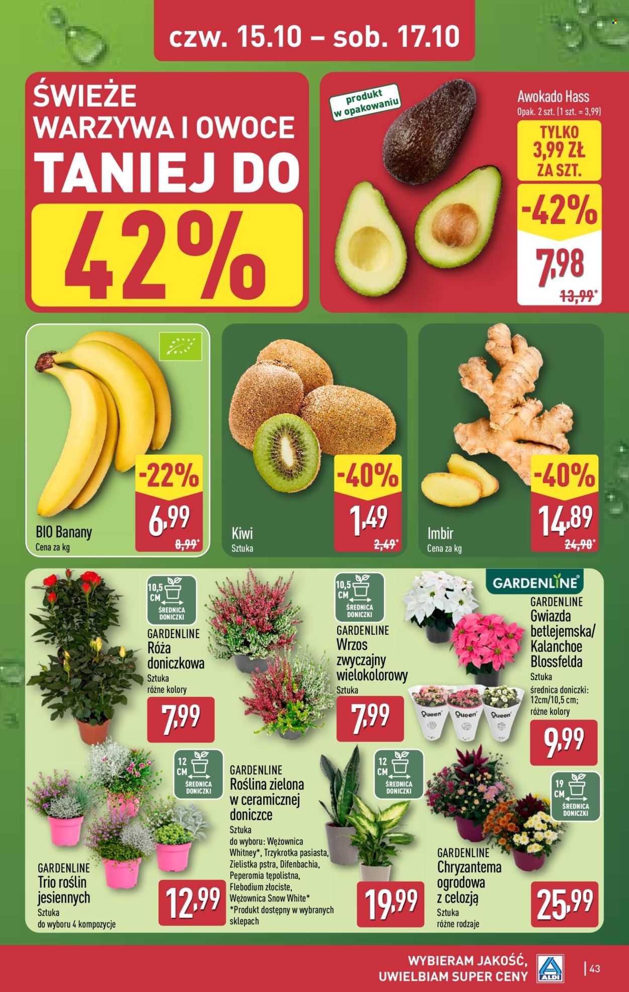 Gazetka ALDI - 12.10.2026 - 17.10.2026. Strona 43