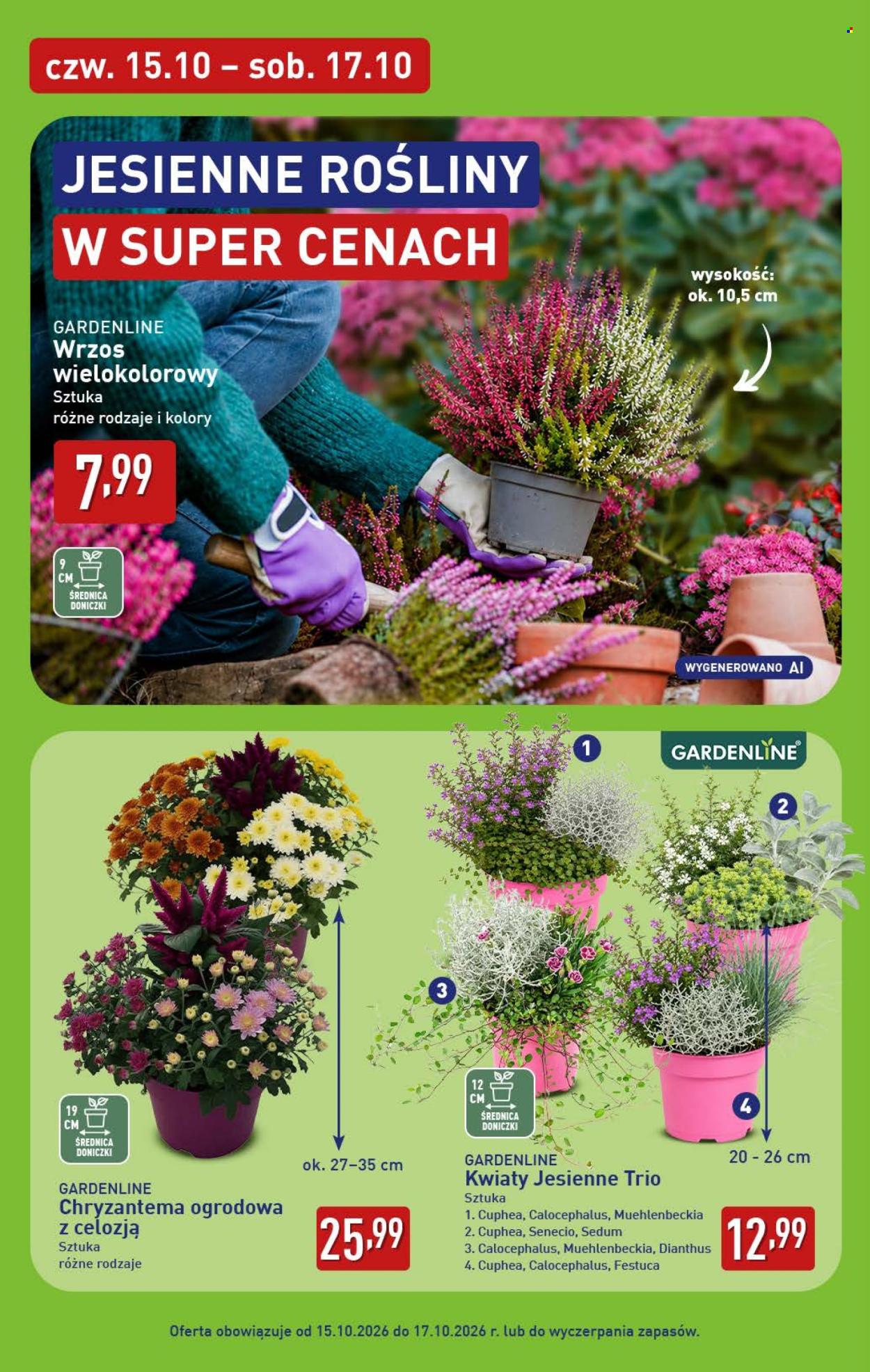 Gazetka ALDI - 12.10.2026 - 17.10.2026. Strona 44
