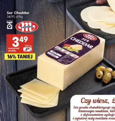 Ser Cheddar
