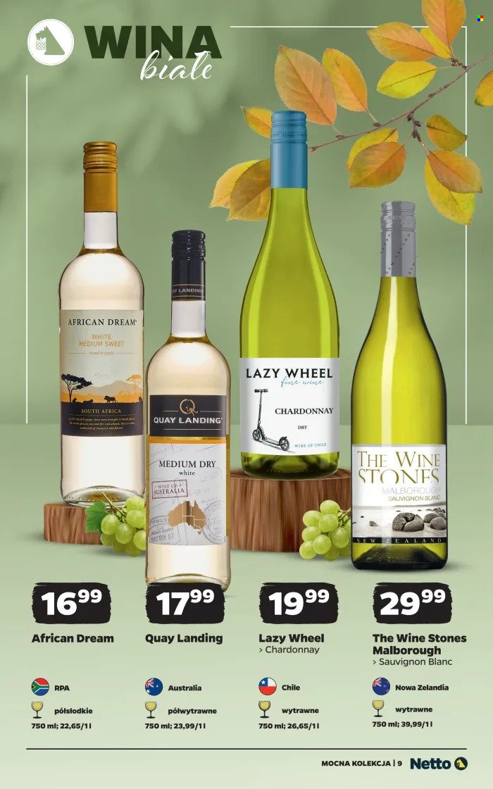 Gazetka Netto - 12.10.2026 - 24.10.2026. Strona 9
