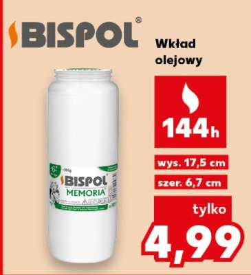 Wkład olejowy