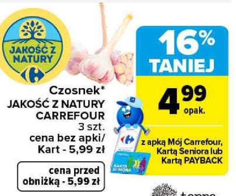 Czosnek