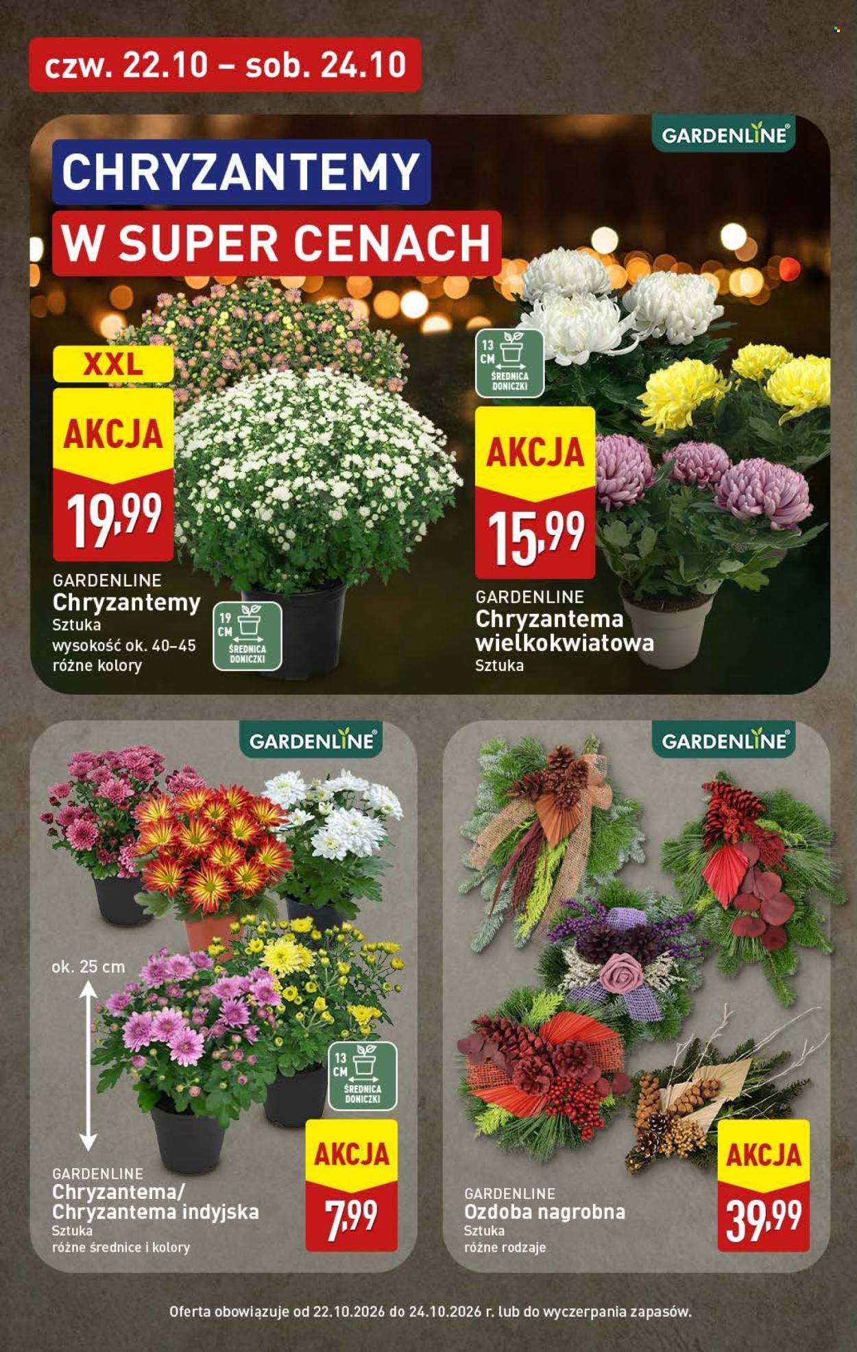 Gazetka ALDI - 19.10.2026 - 24.10.2026. Strona 44