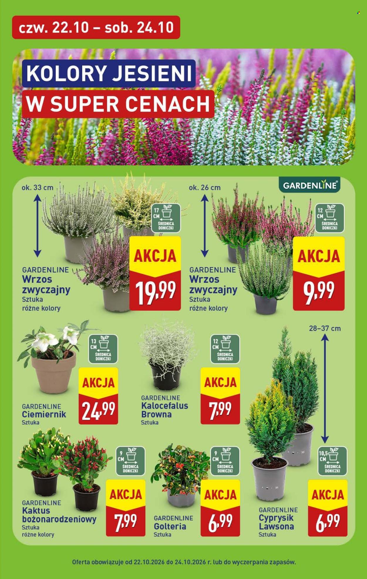 Gazetka ALDI - 19.10.2026 - 24.10.2026. Strona 45