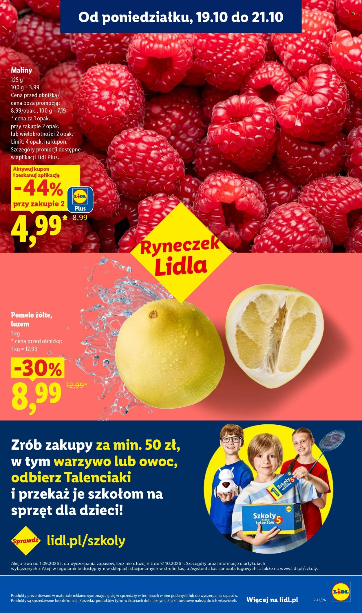 Gazetka Lidl - 19.10.2026 - 24.10.2026. Strona 41