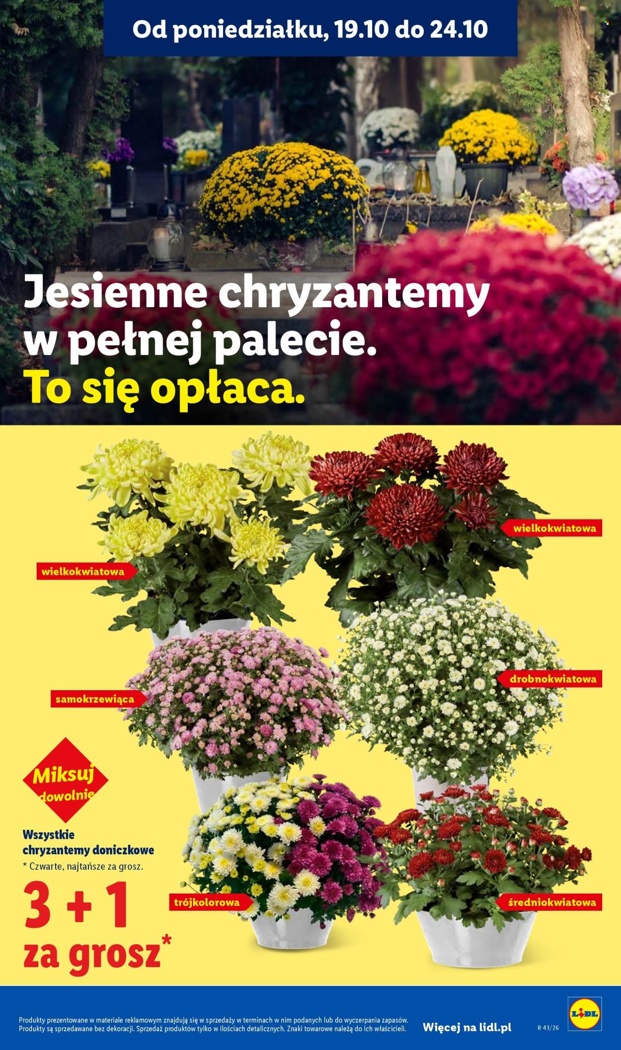 Gazetka Lidl - 19.10.2026 - 24.10.2026. Strona 97