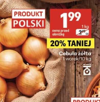 Cebula żółta