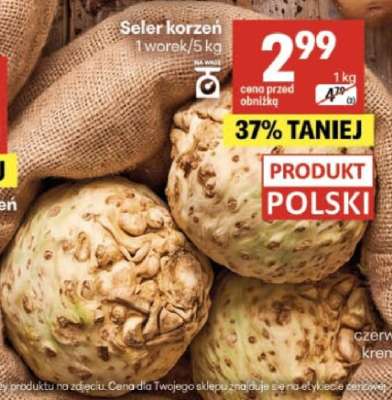 Seler korzeń