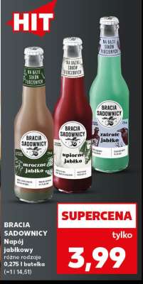 BRACIA SADOWNICY
