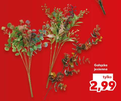 Gałązka jesienna
