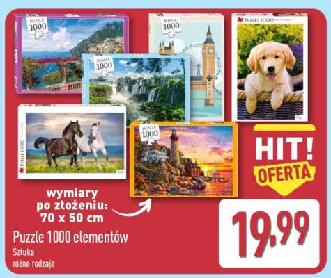Puzzle 1000 elementów