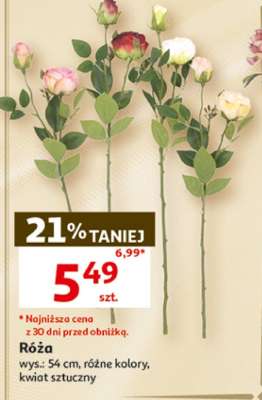 Róża