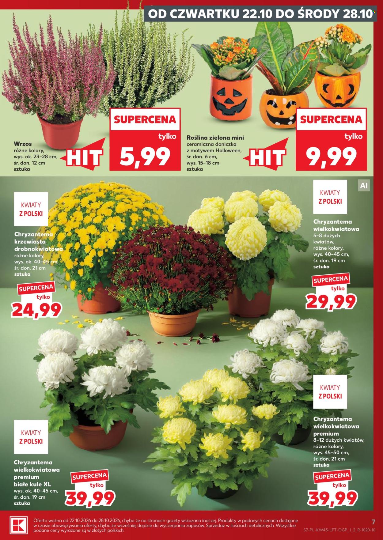 Gazetka Kaufland - 22.10.2026 - 28.10.2026. Strona 7