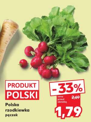 Polska rzodkiewka pęczek