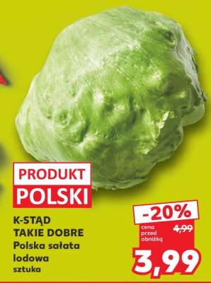 Polska sałata lodowa