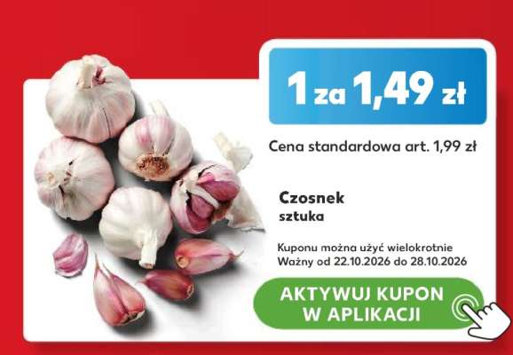 Czosnek Sztuka