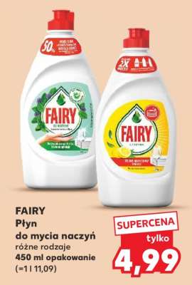 FAIRY