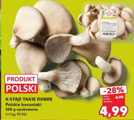 K-STĄD TAKIE DOBRE Polskie boczniaki