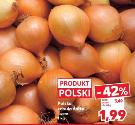 Polska cebula żółta luzem 1 kg