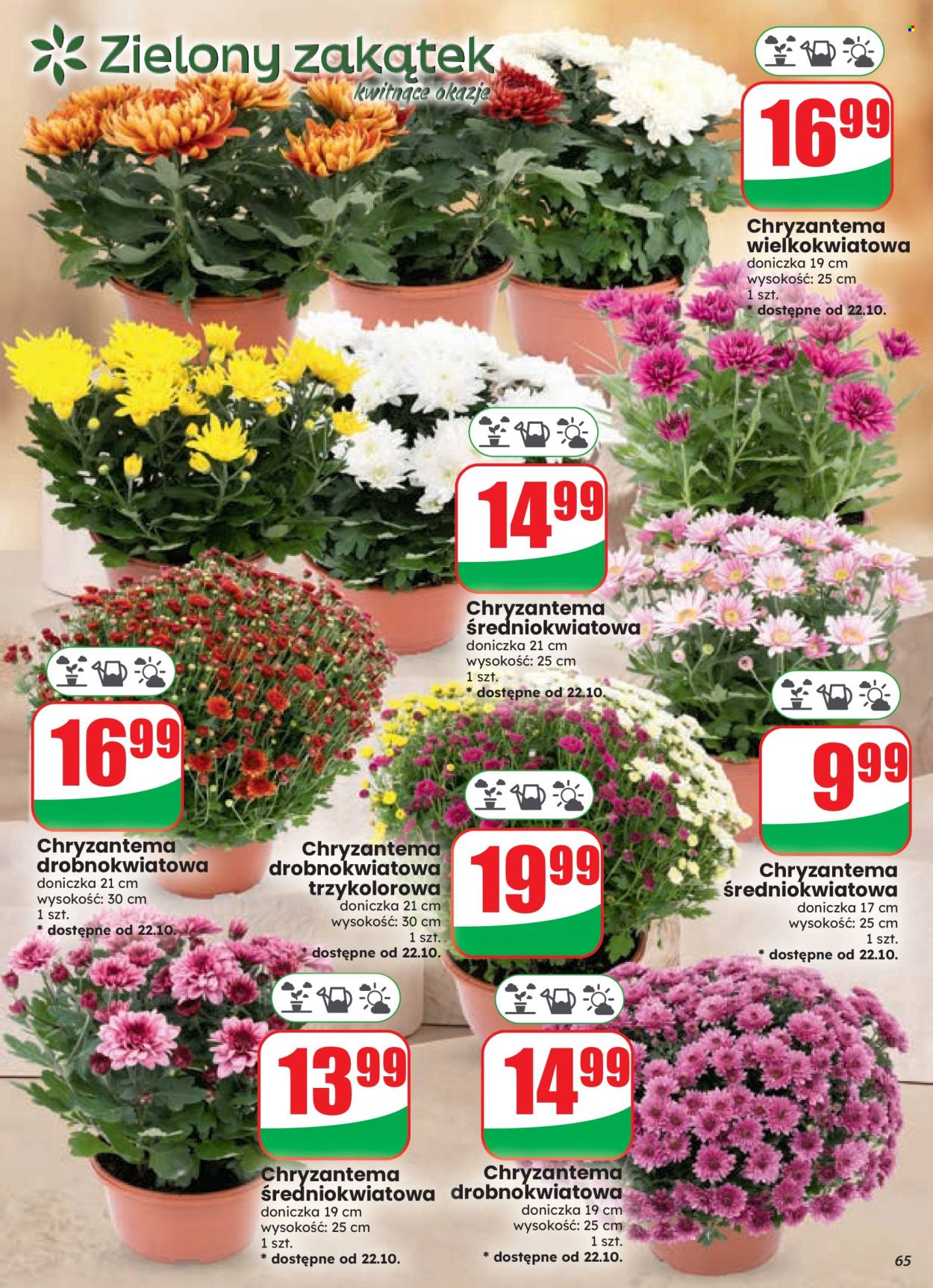 Gazetka Dino - 21.10.2026 - 27.10.2026. Strona 65