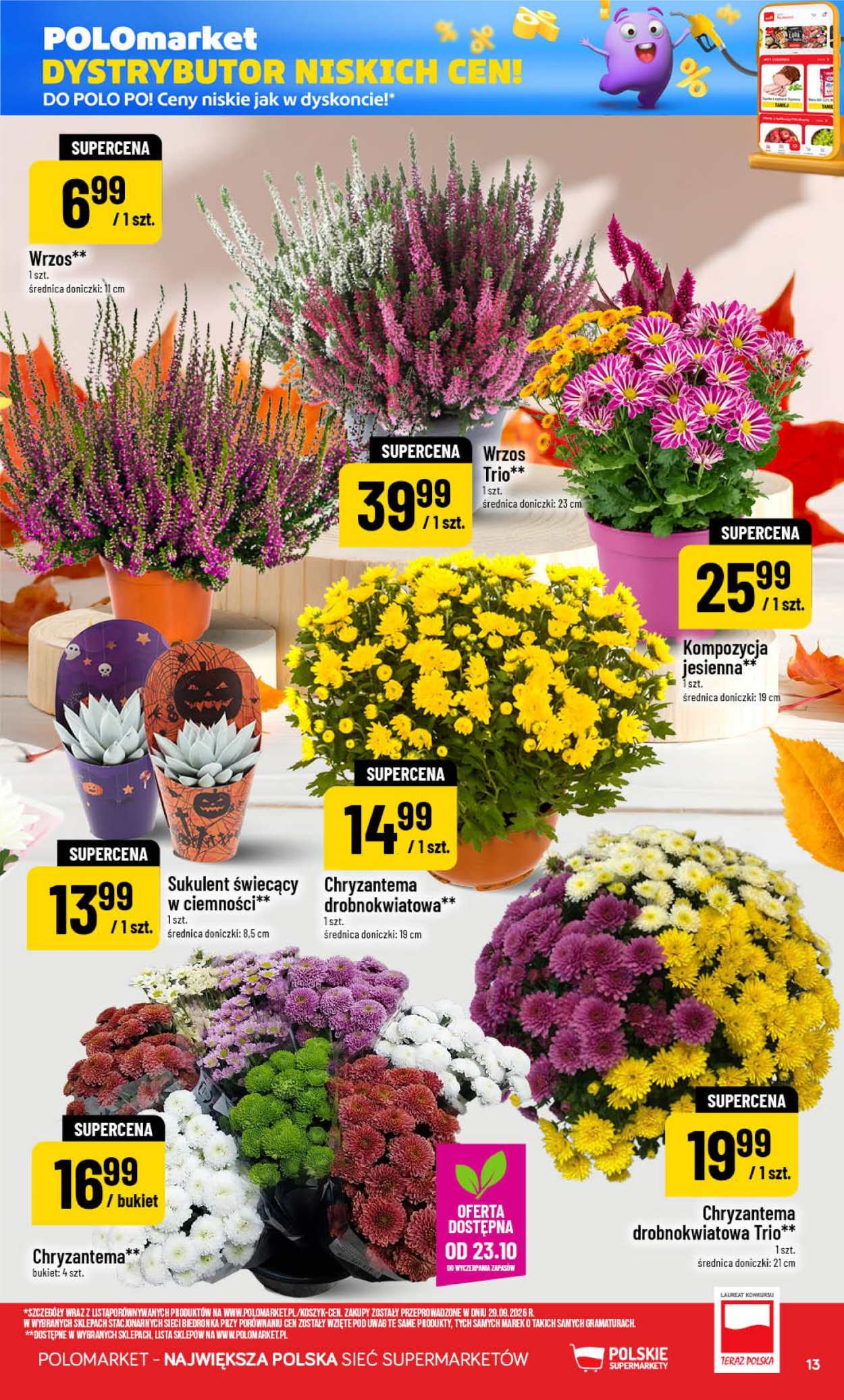 Gazetka Polomarket - 21.10.2026 - 27.10.2026. Strona 13