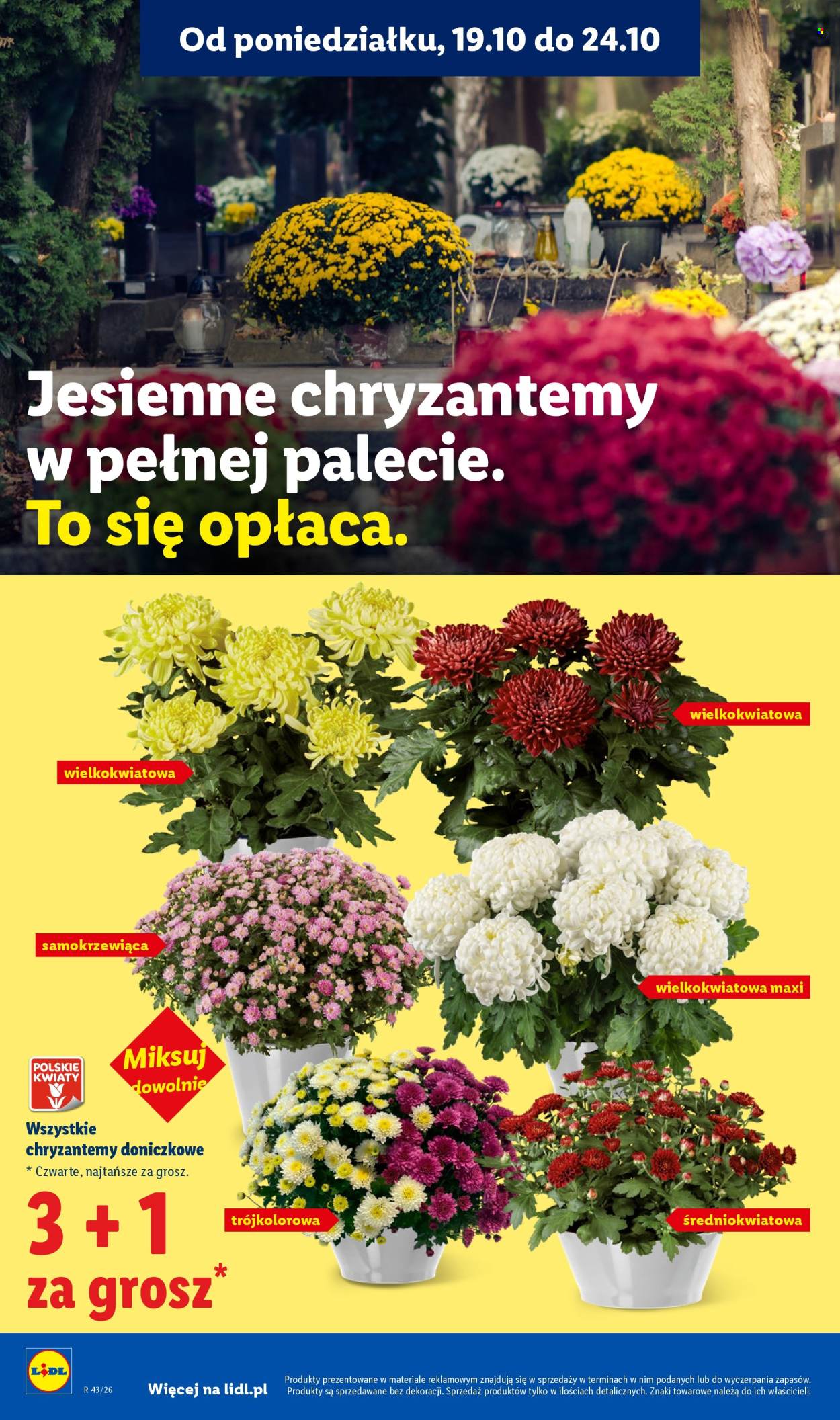 Gazetka Lidl - 22.10.2026 - 24.10.2026. Strona 102