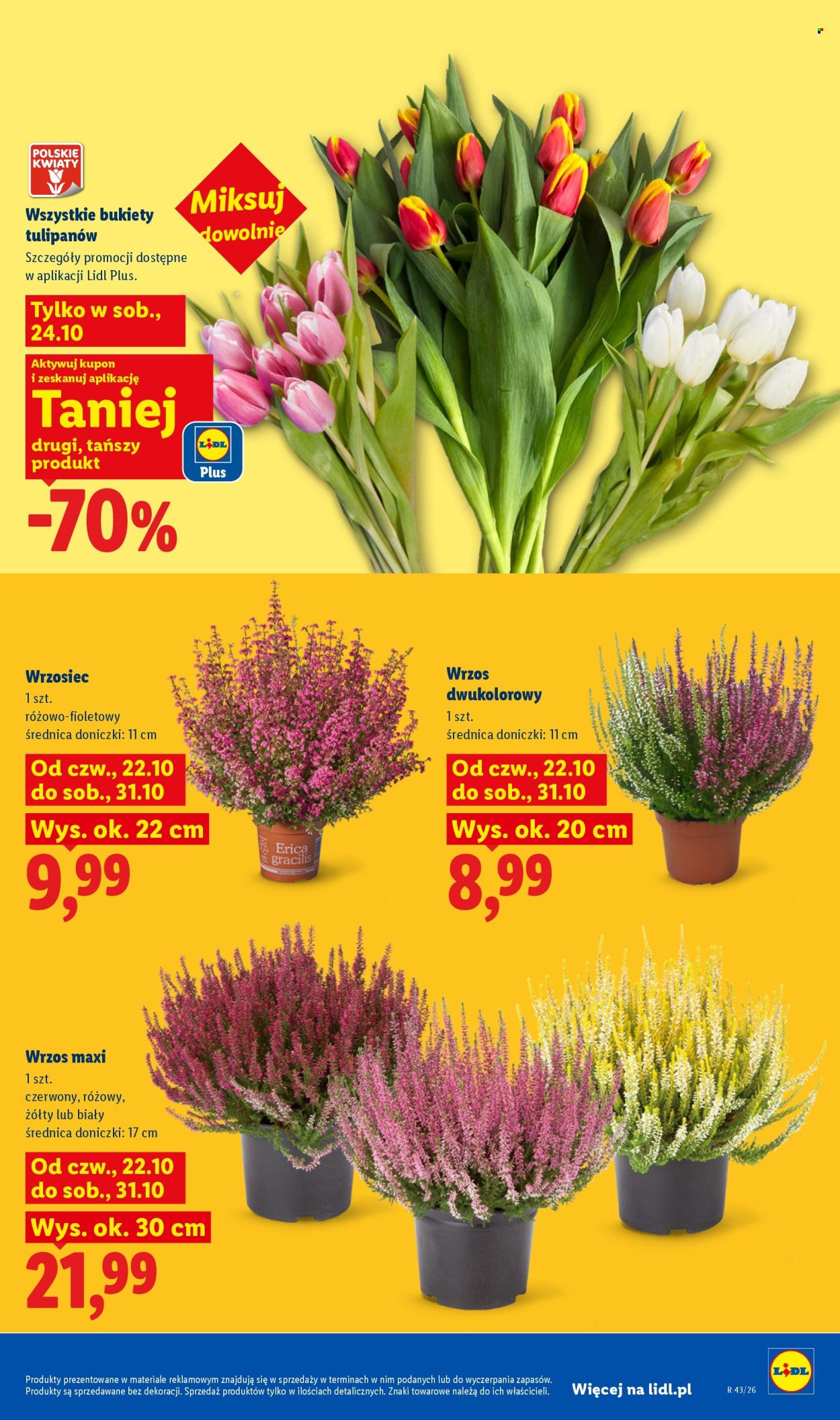 Gazetka Lidl - 22.10.2026 - 24.10.2026. Strona 103