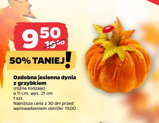 Ozdobna jesienna dynia z grzybkiem