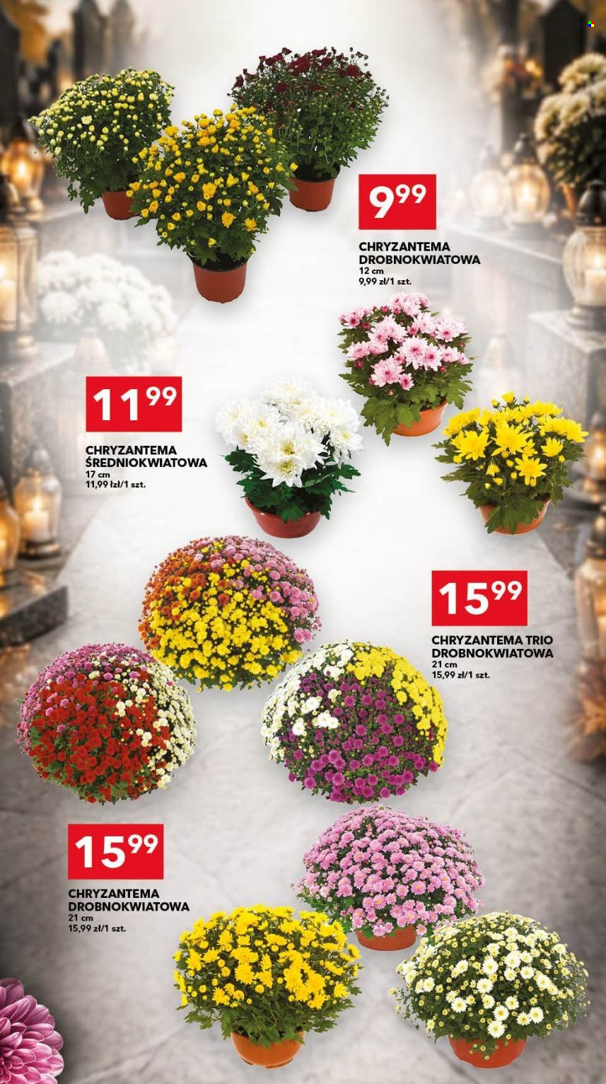Gazetka Lewiatan - 22.10.2026 - 31.10.2026. Strona 15