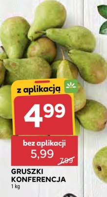 Gruszki Konferencja