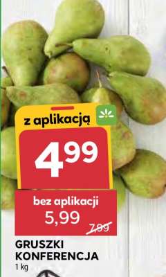Gruszki Konferencja