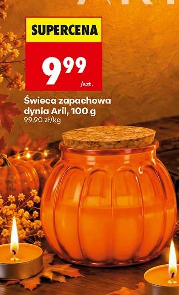 Świeca zapachowa dynia Aril, 100 g
