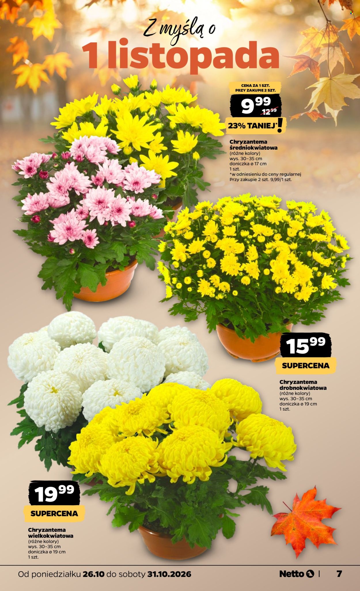 Gazetka Netto - 26.10.2026 - 31.10.2026. Strona 7