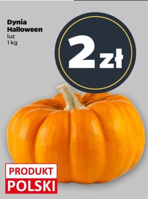 Dynia Halloween