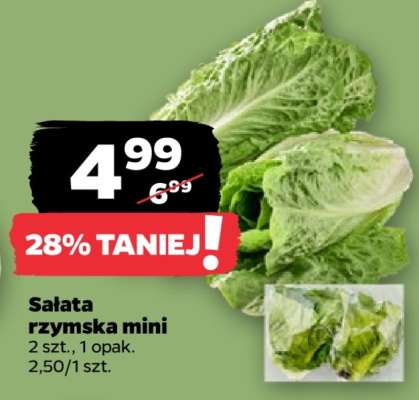Sałata rzymska mini