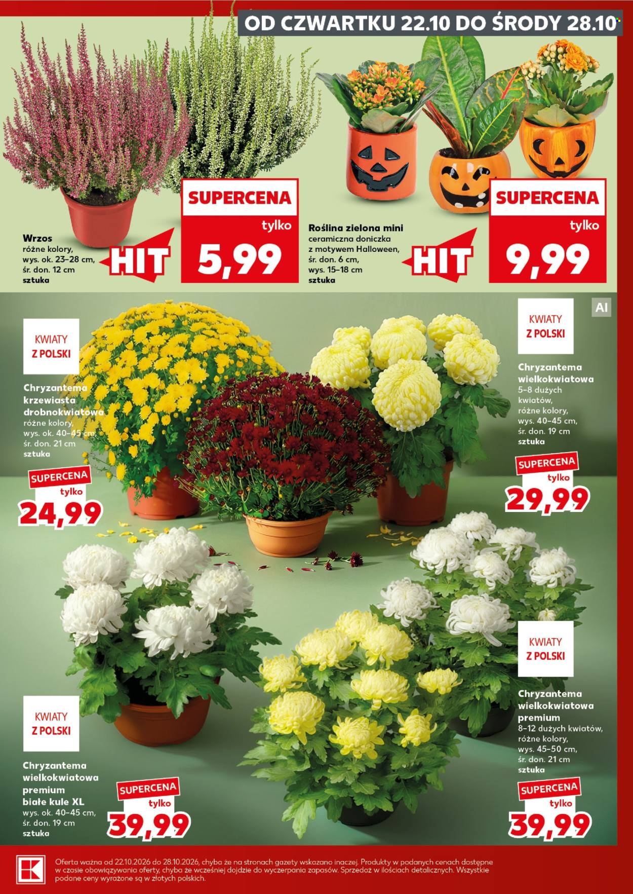 Gazetka Kaufland - 26.10.2026 - 28.10.2026. Strona 5