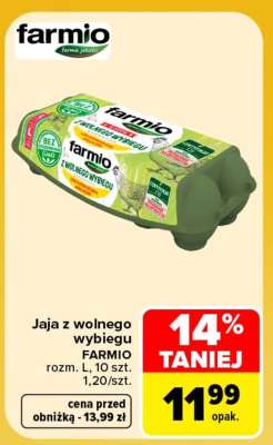 Jaja z wolnego wybiegu