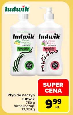 Płyn do naczyń Ludwik
