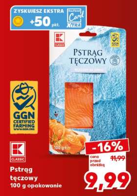 Pstrąg tęczowy