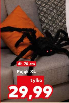 Pająk XL