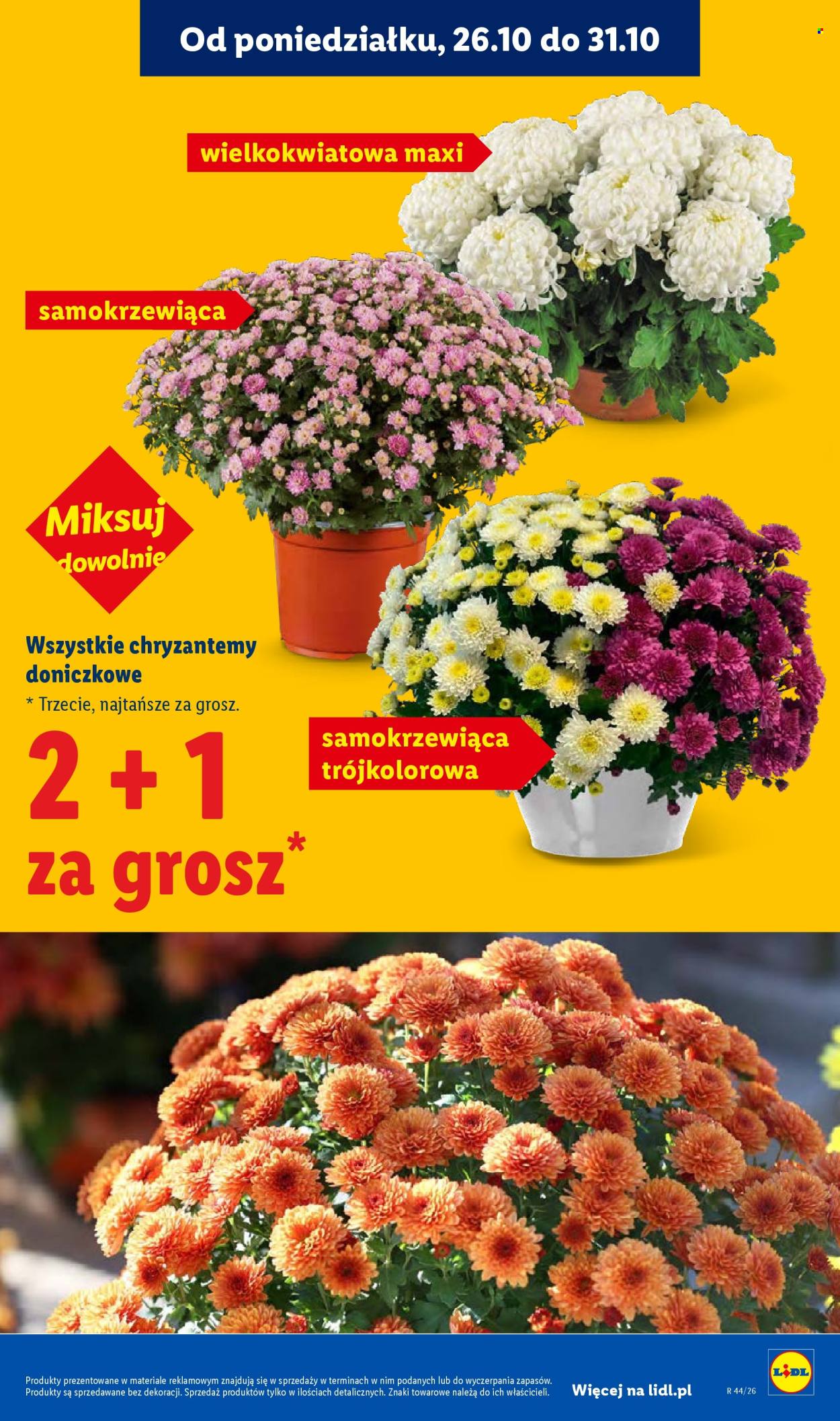 Gazetka Lidl - 26.10.2026 - 31.10.2026. Strona 45