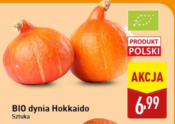 BIO Dynia Hokkaido
