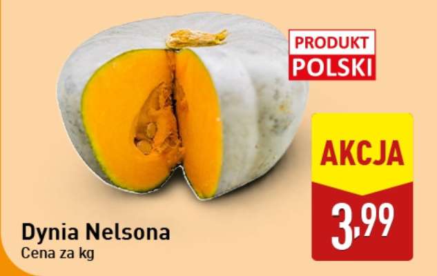 Dynia Nelsona