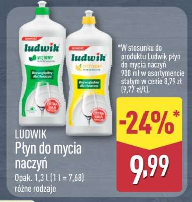 LUDWIK